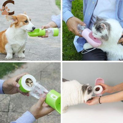 Analyzing image Gourde-pour-chien-vert