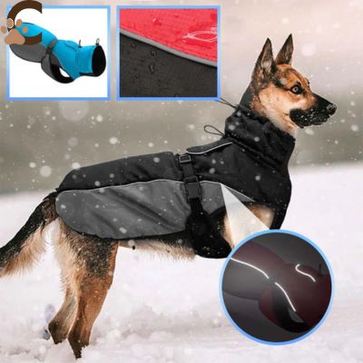 Impermeable-pour-chien