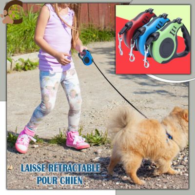 Laisse-enrouleur-pour-chien