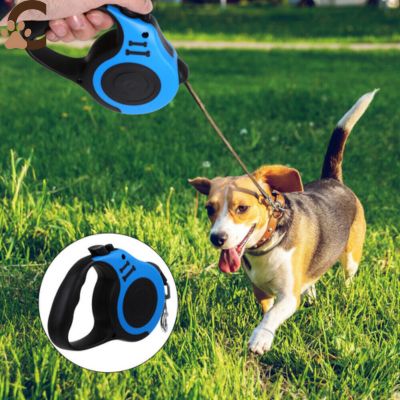 Laisse-pour-chien-_enrouleur