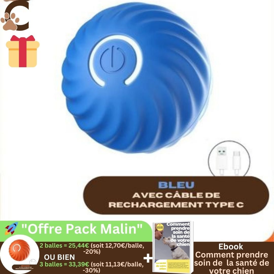 Balle pour chien qui roule toute seule - SpeedyBall™ - ChienCroyable