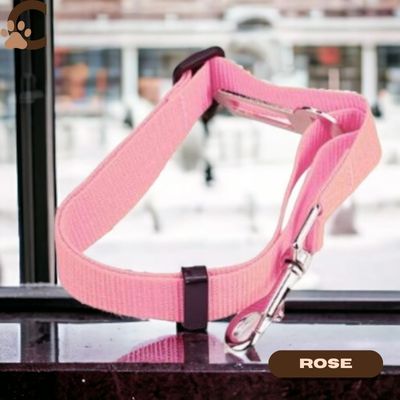 Ceinture de sécurité pour chien - BeltPet™