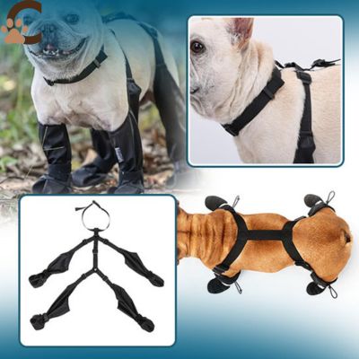 Chaussure pour chien - FlexBootsâą - ChienCroyable