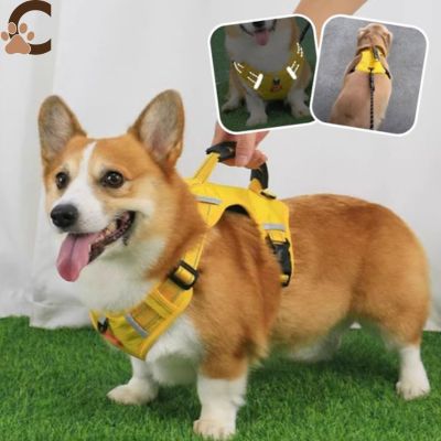 Harnais anti traction chien - No - Pull Pro™ - ChienCroyable