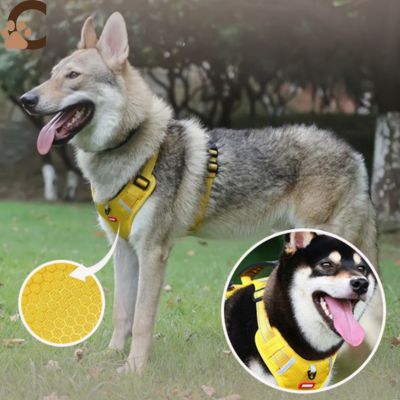 harnais-anti-traction-chien