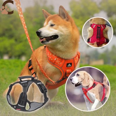 harnais-anti-traction-chien