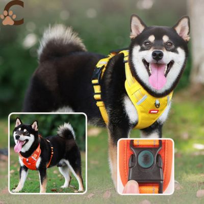 harnais-anti-traction-chien