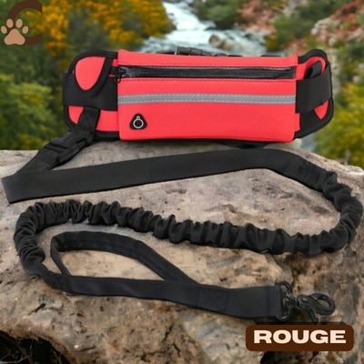 laisse-mains-libres-pour-chiens