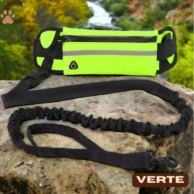 laisse-mains-libres-pour-chiens