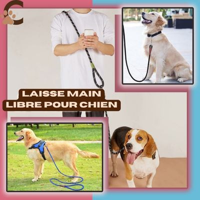 laisse-mains-libres-pour-chiens