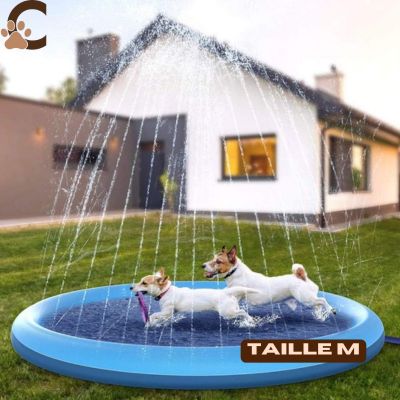 Piscine pour chien - AquWouaf™ - ChienCroyable