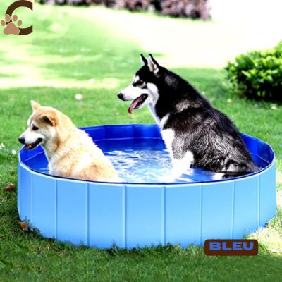 Piscine pour chien - AquWouf™ - ChienCroyable
