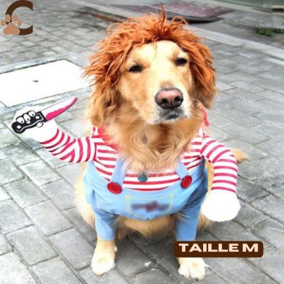 Costume-chien-Chucky-Chien-taille-m