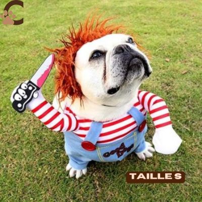 Costume-chien-Chucky-Chien-taille-s