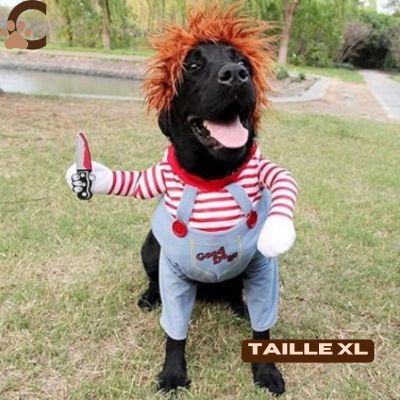 Costume-chien-Chucky-Chien-taille-xl