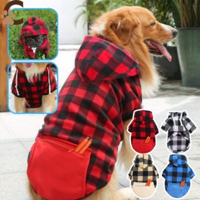 Pull-pour-chien