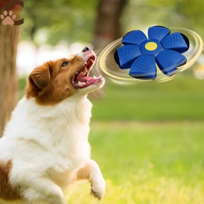Balle pour chien - JumpyPaw™ - ChienCroyable