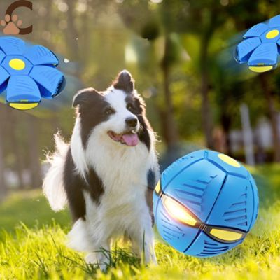 Balle pour chien - JumpyPaw™ - ChienCroyable