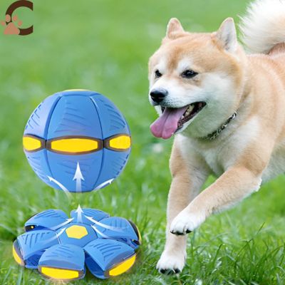 Balle pour chien - JumpyPaw™ - ChienCroyable