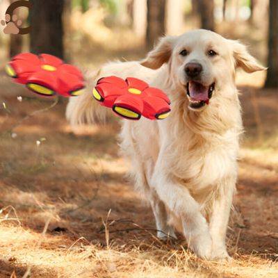 Balle pour chien - JumpyPaw™ - ChienCroyable