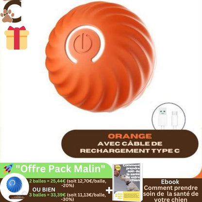 Balle pour chien qui roule toute seule - SpeedyBall™ - ChienCroyable