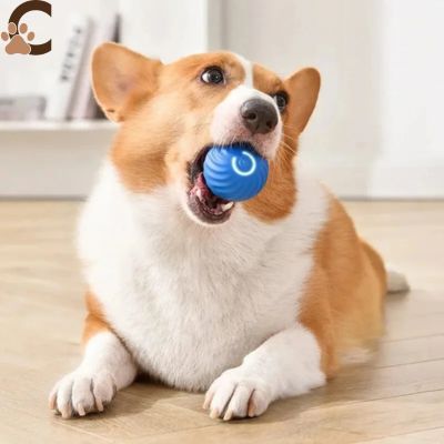 Balle pour chien qui roule toute seule - SpeedyBall™ - ChienCroyable