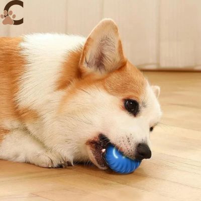 Balle pour chien qui roule toute seule - SpeedyBall™ - ChienCroyable