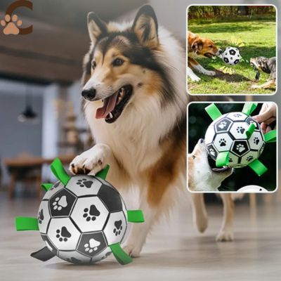 Ballon pour chien - DogBall™ - ChienCroyable
