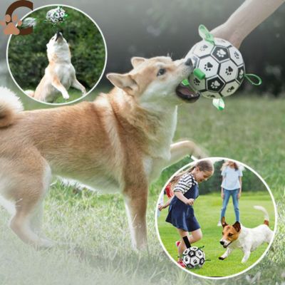 Ballon pour chien - DogBall™ - ChienCroyable