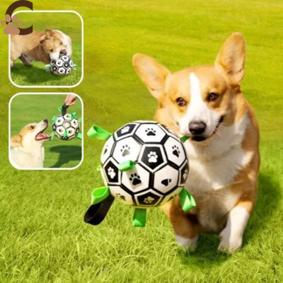 Ballon pour chien - DogBall™ - ChienCroyable