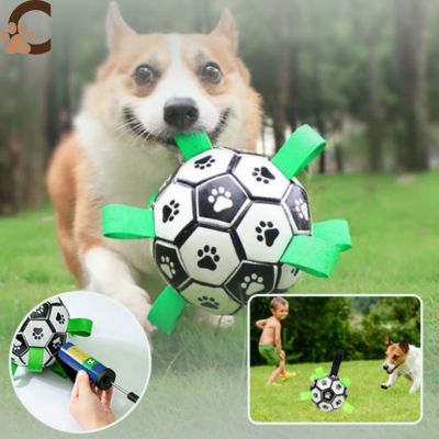 Ballon pour chien - DogBall™ - ChienCroyable