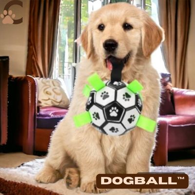 Ballon pour chien - DogBall™ - ChienCroyable