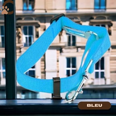 Ceinture de sécurité pour chien - BeltPet™