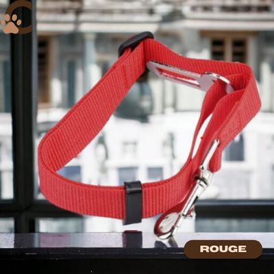 Ceinture de sécurité pour chien - BeltPet™