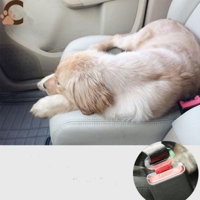 ceinture-de-securite-pour-chien