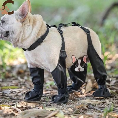 Chaussure pour chien - FlexBoots™ - ChienCroyable