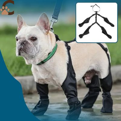 Chaussure pour chien - FlexBoots™ - ChienCroyable