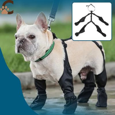 Chaussure pour chien - FlexBoots™ - ChienCroyable