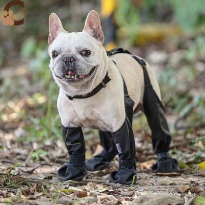 Chaussure pour chien - FlexBoots™ - ChienCroyable