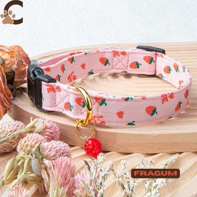 collier-chien-canifragum