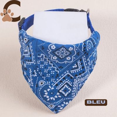collier-chien-nylon-bleu