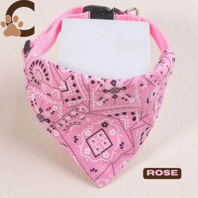 collier-chien-nylon-rose