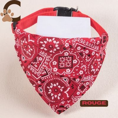 collier-chien-nylon-rouge