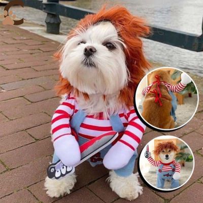 Costume chien - Chucky - Chien™ - ChienCroyable