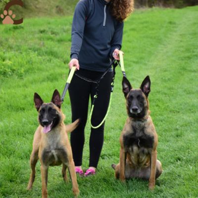 Laisse double pour chien - Verte|TwinRush™