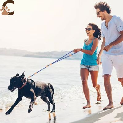 Double laisse pour chien | LibraLeash™