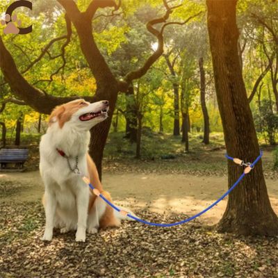 Double laisse pour chien | LibraLeash™