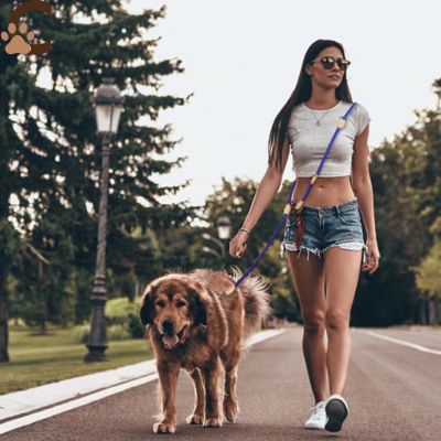 Double laisse pour chien | LibraLeash™