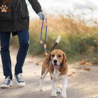 Double laisse pour chien | LibraLeash™