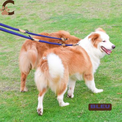 Double laisse pour chien | LibraLeash™
